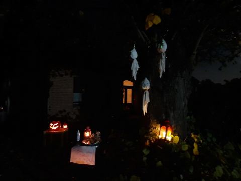 Foto 37 von 70