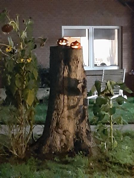 Foto 57 von 70