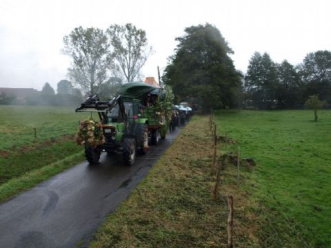 Foto 7 von 44