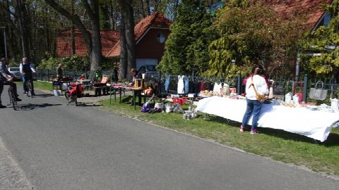 Foto 9 von 31