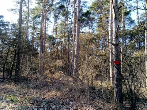 Foto 2 von 4