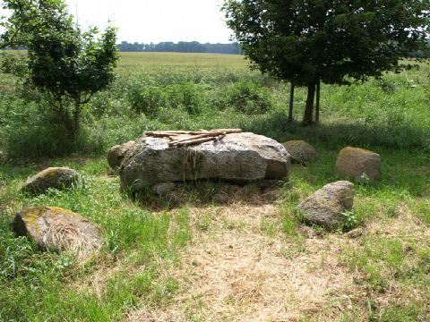Foto 1 von 5