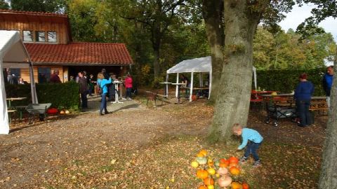 Foto 13 von 33