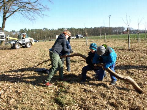 Foto 3 von 14