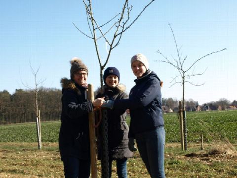 Foto 4 von 14
