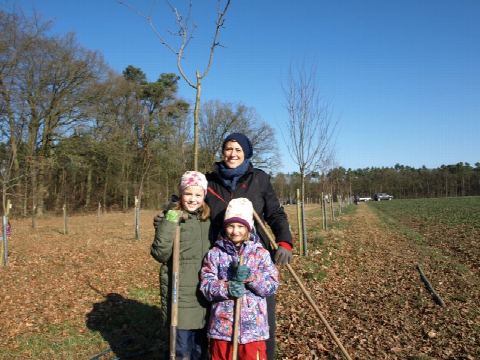 Foto 5 von 14