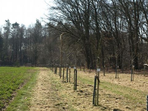 Foto 12 von 14