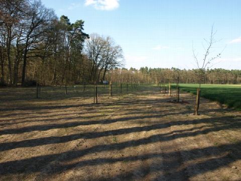 Foto 2 von 42, 09.04.2019