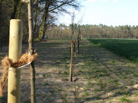 Foto 3 von 42, 09.04.2019