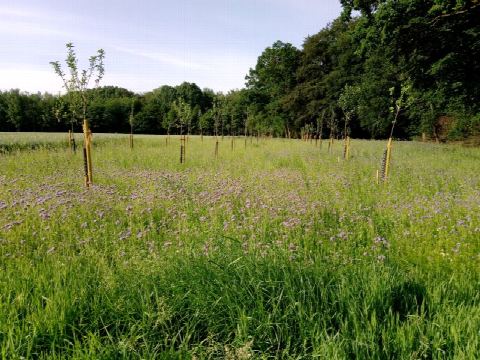 Foto 7 von 42, 09.06.2019