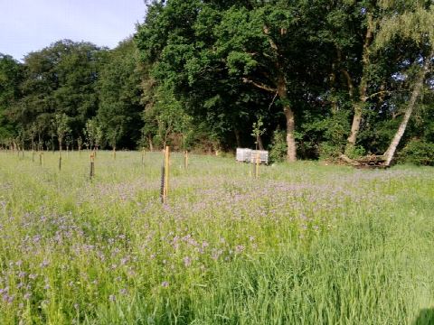 Foto 8 von 42, 09.06.2019