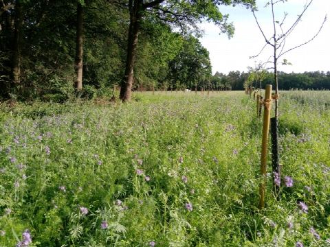 Foto 9 von 42, 09.06.2019