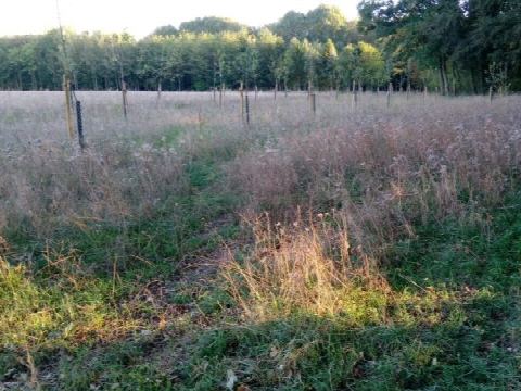 Foto 13 von 42, 21.09.2019