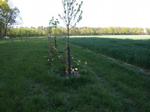 Foto 15 von 42, 26.04.2020