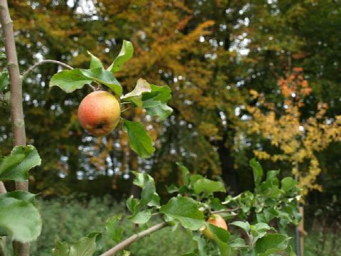 Foto 18 von 42, 25.10.2020