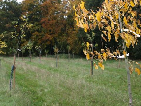 Foto 19 von 42, 25.10.2020