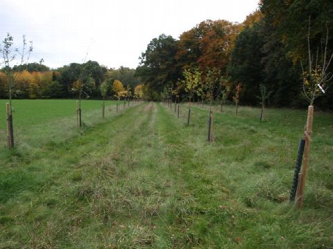 Foto 20 von 42, 25.10.2020