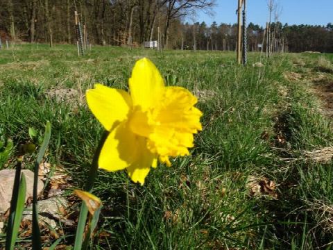 Foto 22 von 42, 03.04.2021