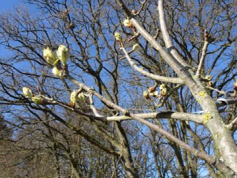 Foto 27 von 42, 03.04.2021