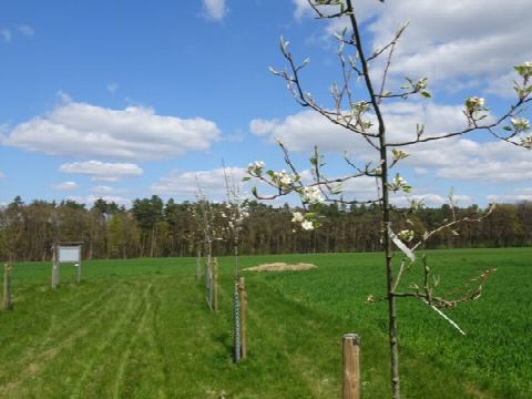 Foto 30 von 42, 25.04.2021