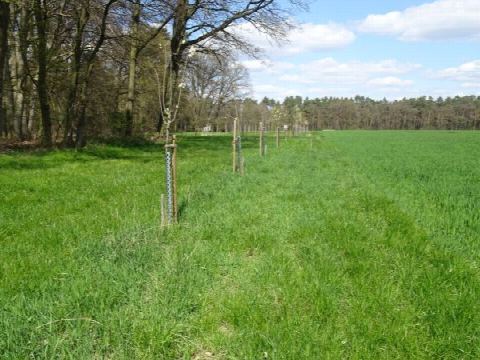 Foto 38 von 42, 25.04.2021