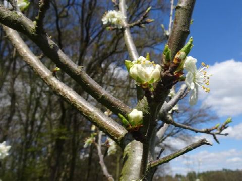 Foto 39 von 42, 25.04.2021