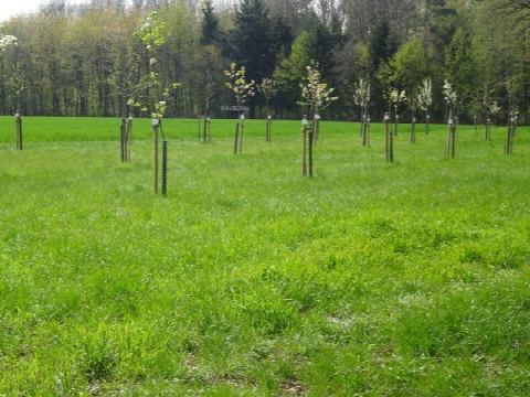 Foto 41 von 42, 08.05.2021