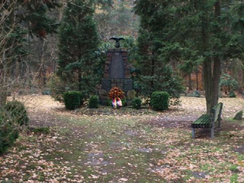 Foto 1 von 49, 25.11.2018