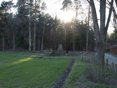 Foto 3 von 49, 22.03.2020