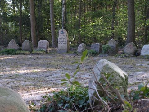 Foto 8 von 49, 26.04.2020