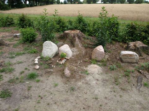 Foto 14 von 49, 17.07.2020