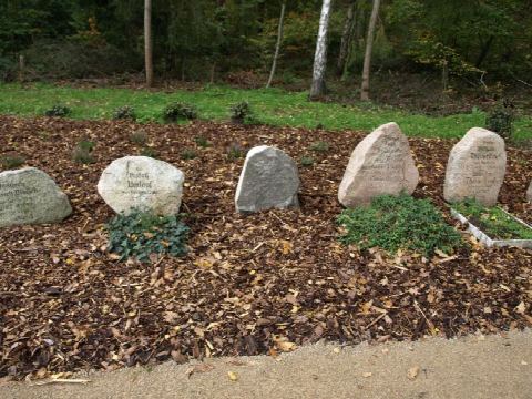 Foto 34 von 49, 25.10.2020