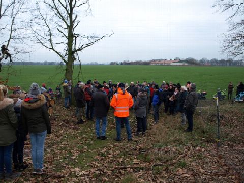 Foto 7 von 16