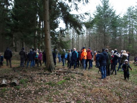 Foto 9 von 16