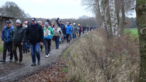 Foto 8 von 21