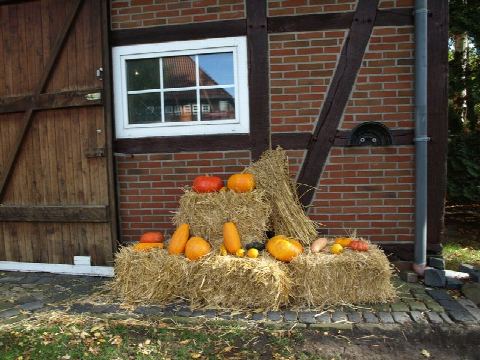 Foto 13 von 43