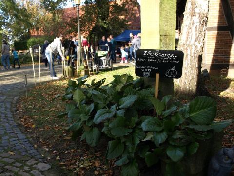 Foto 27 von 43