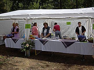 Foto 2 von 12