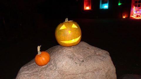 Foto 69 von 136